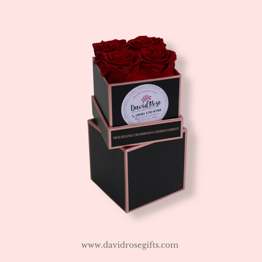 Preserved Roses ( Small Box)