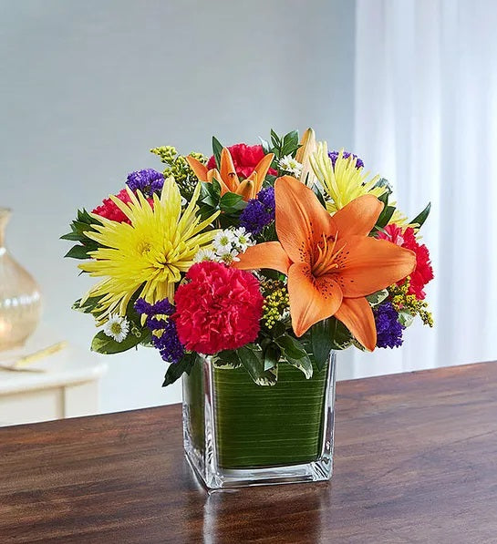 Colors of Joy
