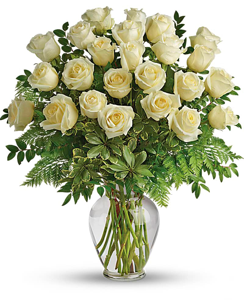 David Rose White Perfection