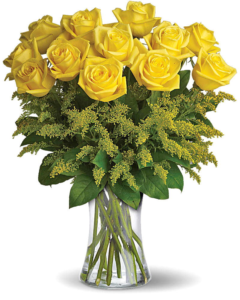David Rose Yellow Perfection