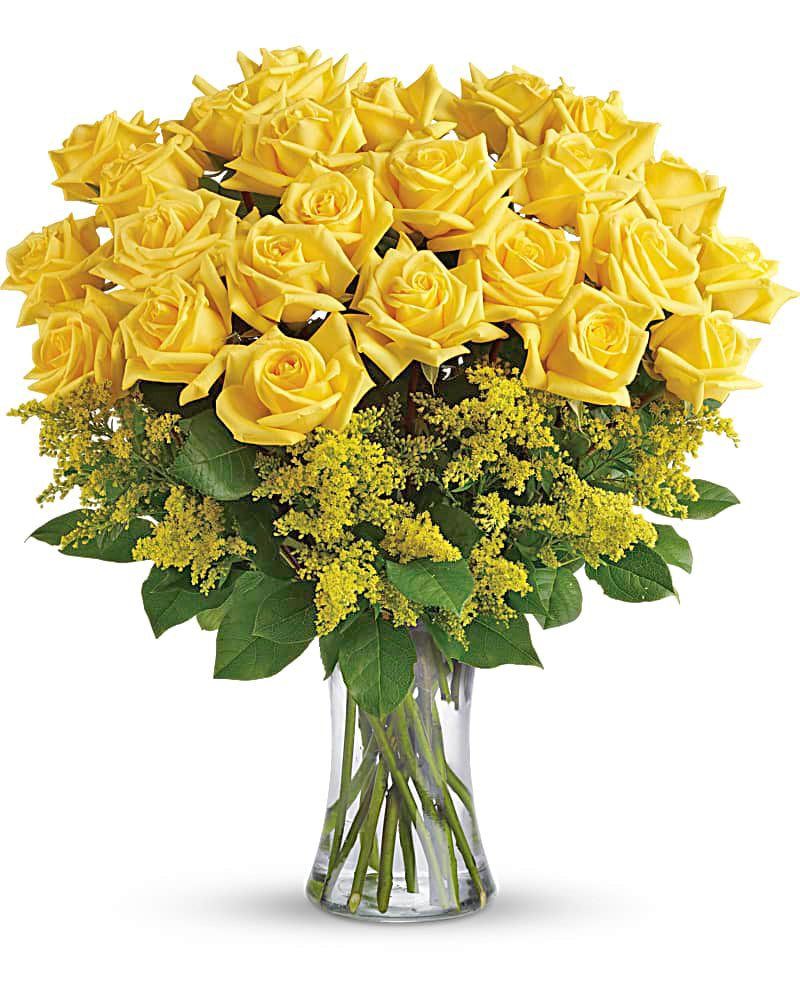 David Rose Yellow Perfection