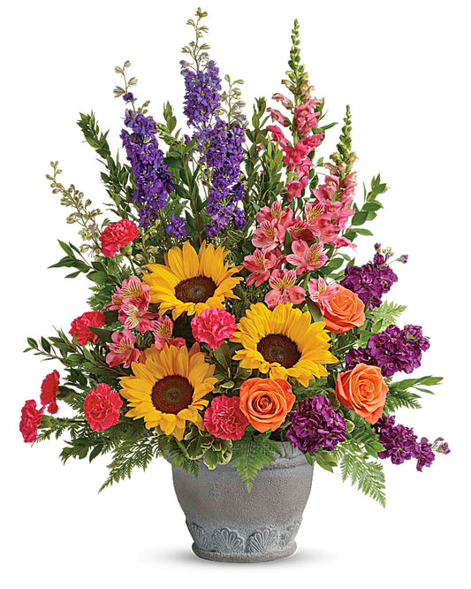 Hues of Color & Life