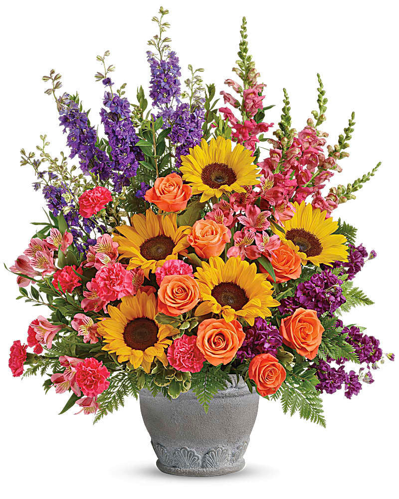 Hues of Color & Life