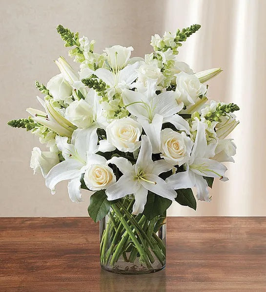 Pure White Elegance