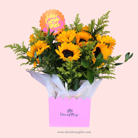 David Rose Sunflowers Box