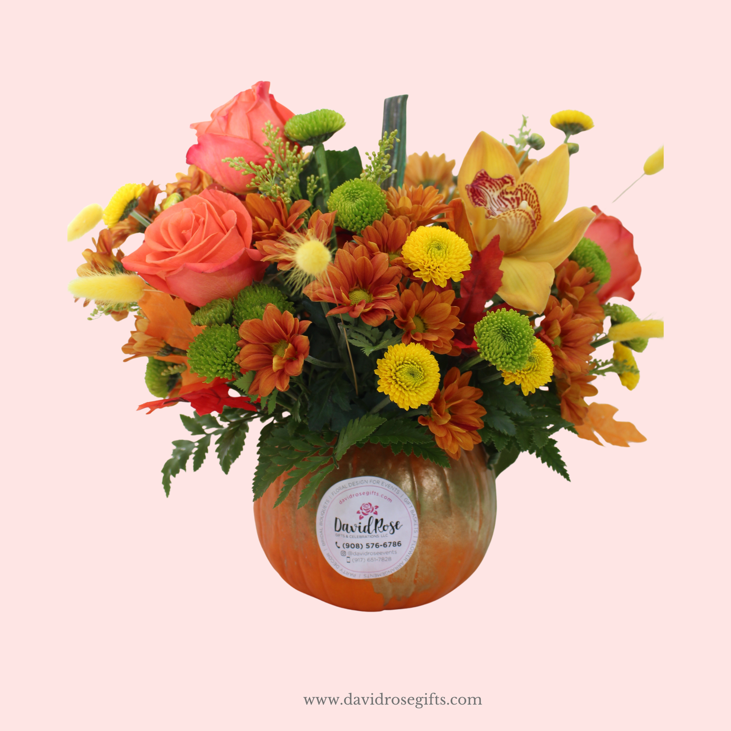 Fall Harvest Pumpkin