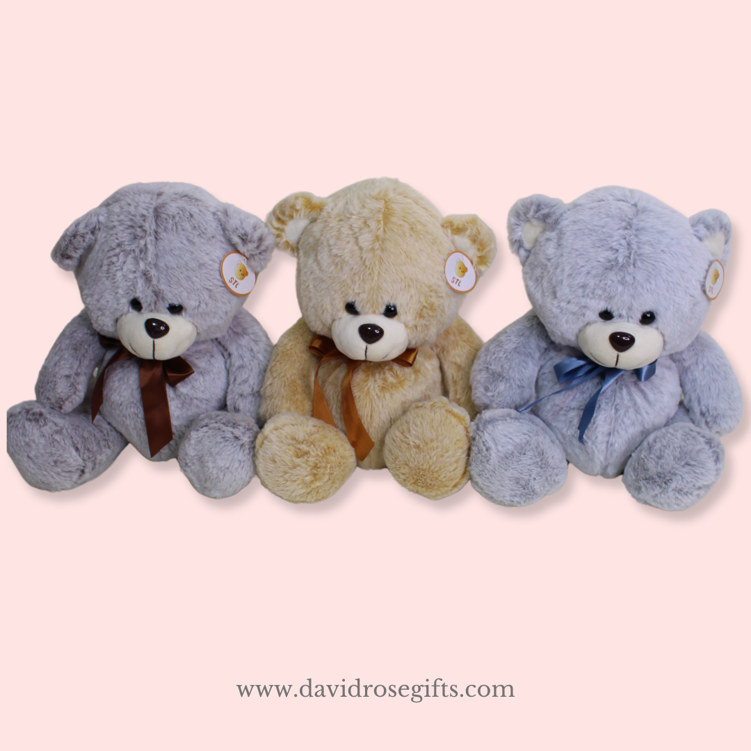 Teddy Bear 12¨