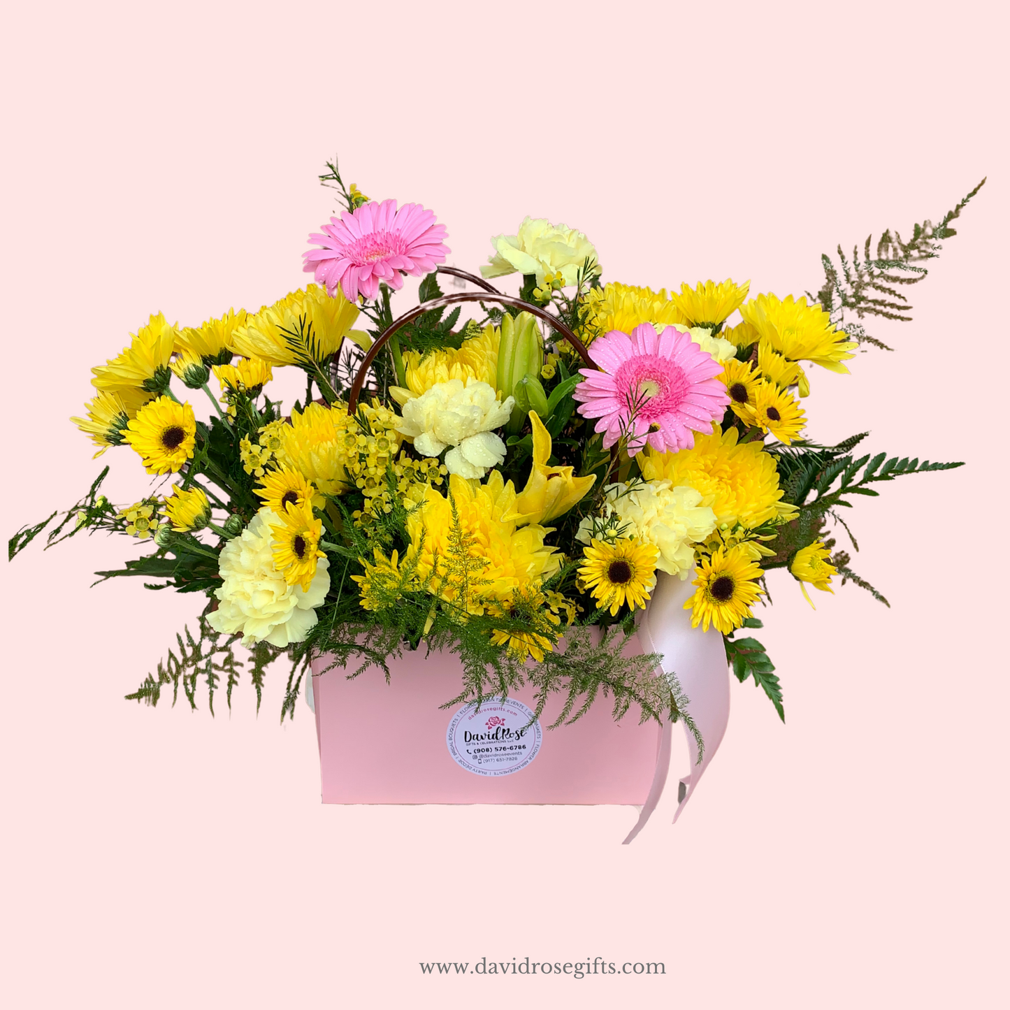 Daisy Box