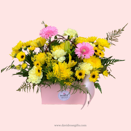 Daisy Box
