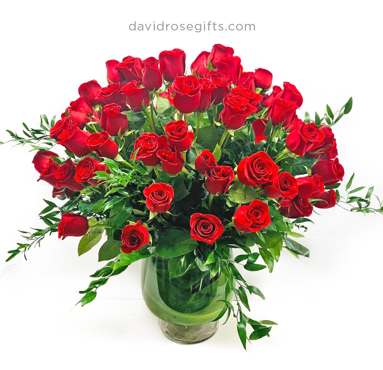 100 Roses!