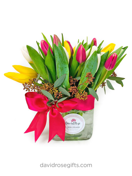 Lovin Tulips