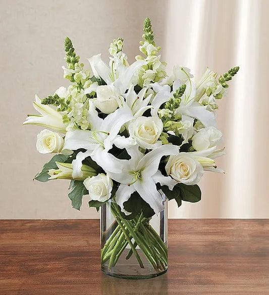 Pure White Elegance