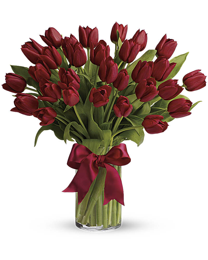 Simply Tulips