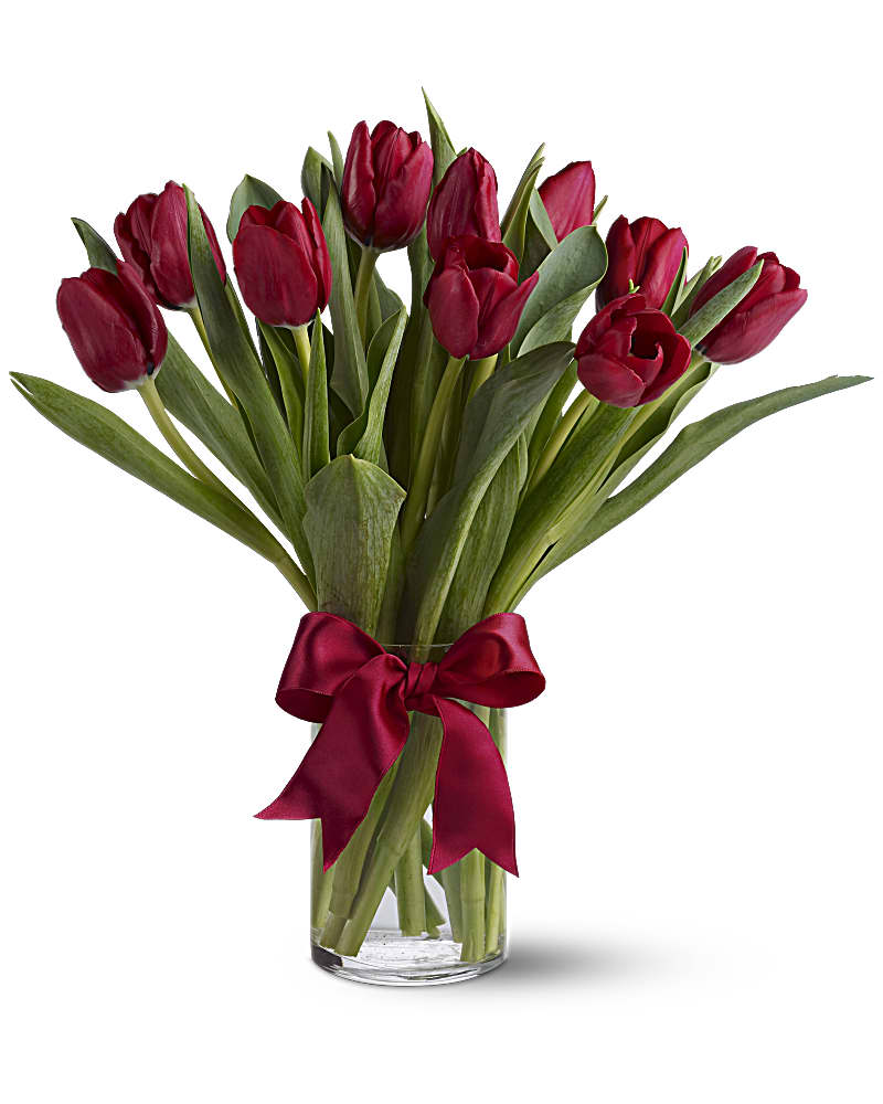 Simply Tulips
